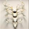 RACK TRACK  European Skull Mounting Kit - 32 Kit #3  (4) Skull Mounts (Base Kit) view 1
