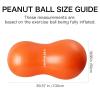 INPANY Peanut Ball - Anti Burst Exercise Ball for Labor Birthing (39 x 20 inch), Physical Therapy for Kids, Core Strength, Home & Gym Fintness (Include Pump) view 3