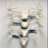 RACK TRACK  European Skull Mounting Kit - 32 Kit #3  (4) Skull Mounts (Base Kit+(4) Photo Frame Mounts) view 1
