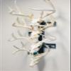 RACK TRACK  European Skull Mounting Kit - 32 Kit #3  (4) Skull Mounts (Base Kit+(4) Photo Frame Mounts) view 2