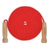 16 FT Long Jump Rope for Kids, Adjustable Double Dutch Skipping Rope with Wooden Handle, Multiplayer Team Jumping Rope for Outdoor Fun, School Sport, Party Game, Birthday Gift view 1
