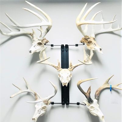 RACK TRACK European Skull Mounting Kit - 32 Kit #5 (5) Skull Mounts (Base Kit)
