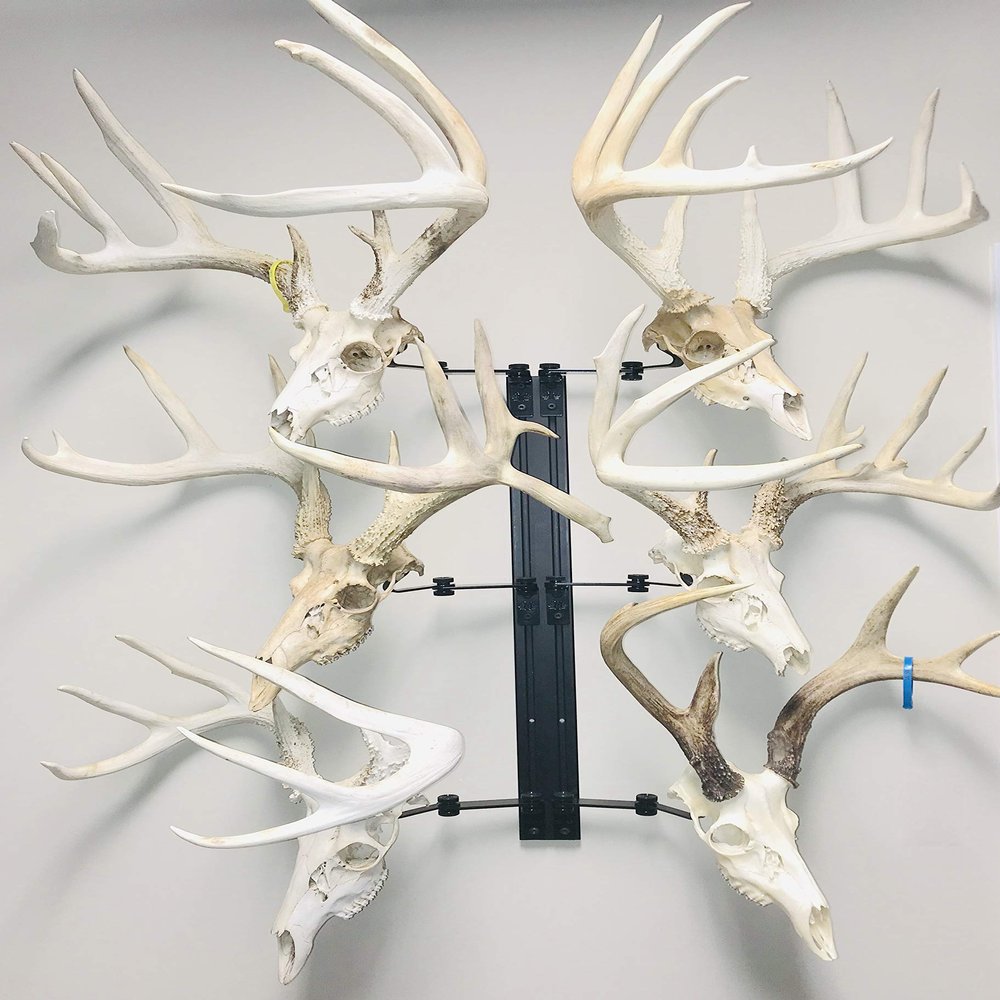 RACK TRACK European Skull Mounting Kit - 32 Kit #7 (6) Pivoting Skull Mounts (Base Kit)
