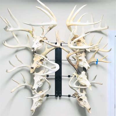 RACK TRACK European Skull Mounting Kit - 32 Kit #9 (8) Pivoting Skull Mounts (Base Kit)