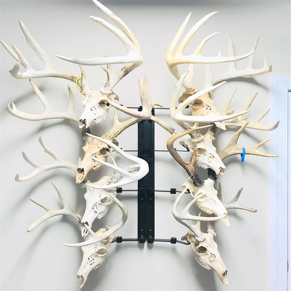 RACK TRACK European Skull Mounting Kit - 32 Kit #9 (8) Pivoting Skull Mounts (Base Kit)