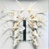 RACK TRACK  European Skull Mounting Kit - 32 Kit #9  (8) Pivoting Skull Mounts (Base Kit) view 1