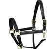 ExionPro Exion Designer Braided Soft Padded Leather Horse Halter- Stylish Adjustable Chin & Throat Snap Halter with Brass Silver Buckles for Comfort- Perfect for Training & Shows view 1