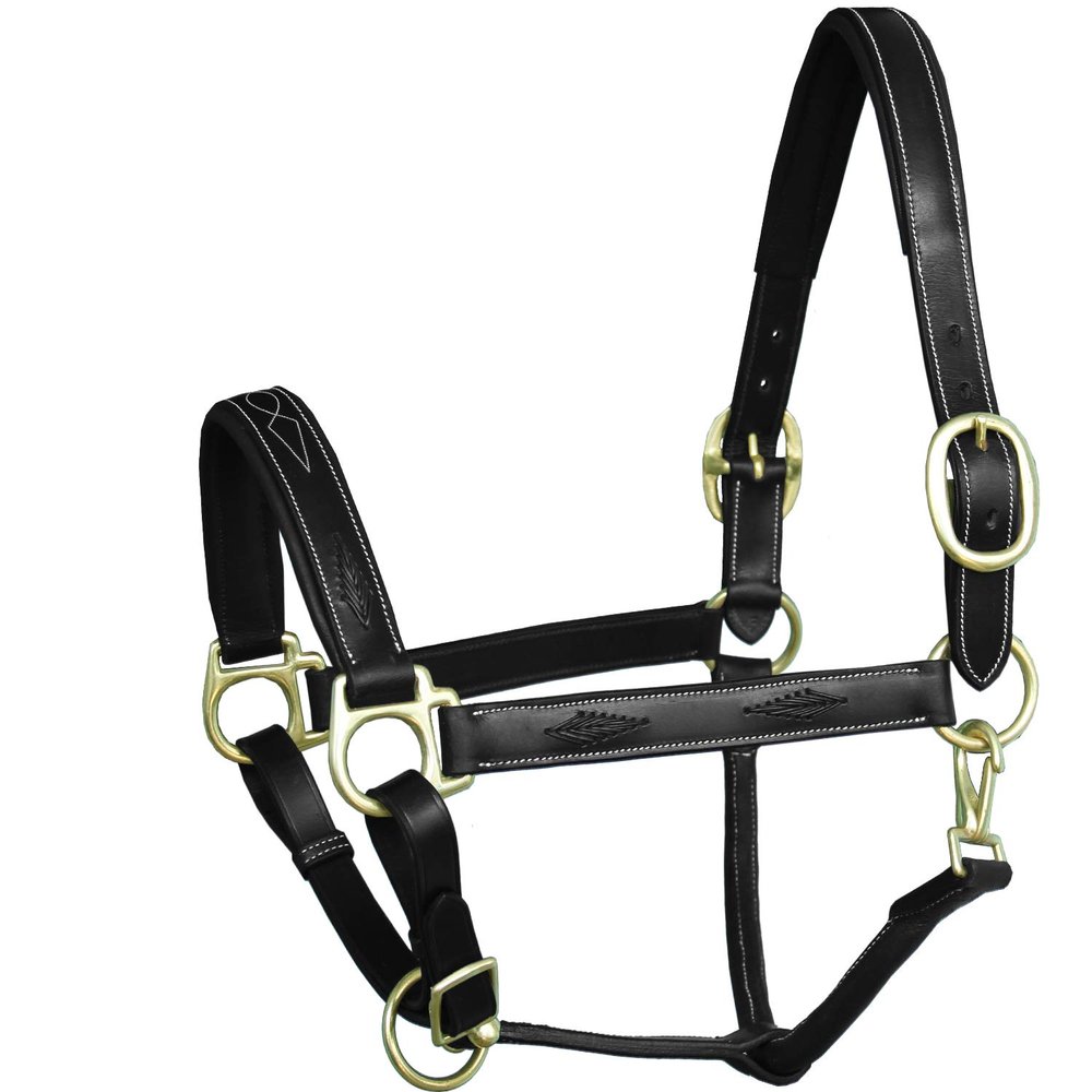 ExionPro Exion Designer Braided Soft Padded Leather Horse Halter Stylish, Adjustable & Comfortable Halter with Golden Brass Buckles | Perfect for Training, Shows & Everyday Use