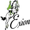 ExionPro Exion Designer Braided Soft Padded Leather Horse Halter  Stylish, Adjustable & Comfortable Halter with Golden Brass Buckles | Perfect for Training, Shows & Everyday Use view 4