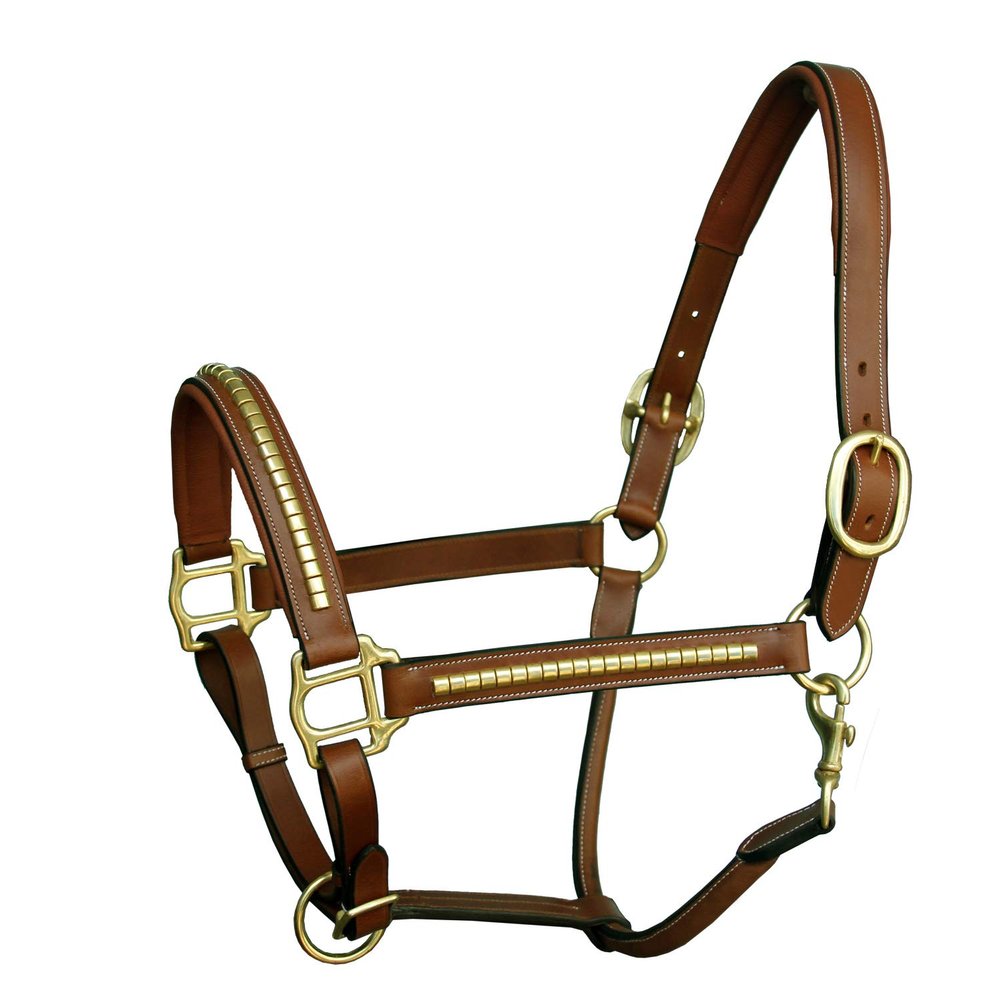 ExionPro Gold Brass Clincher Studded Padded Cushioned Horse Halter | Adjustable Chin and Throat Snap Halter | Replaceable Crownpiece Halter | Quick Release | Black, Havana Brown | Over, Full, Cob Pony