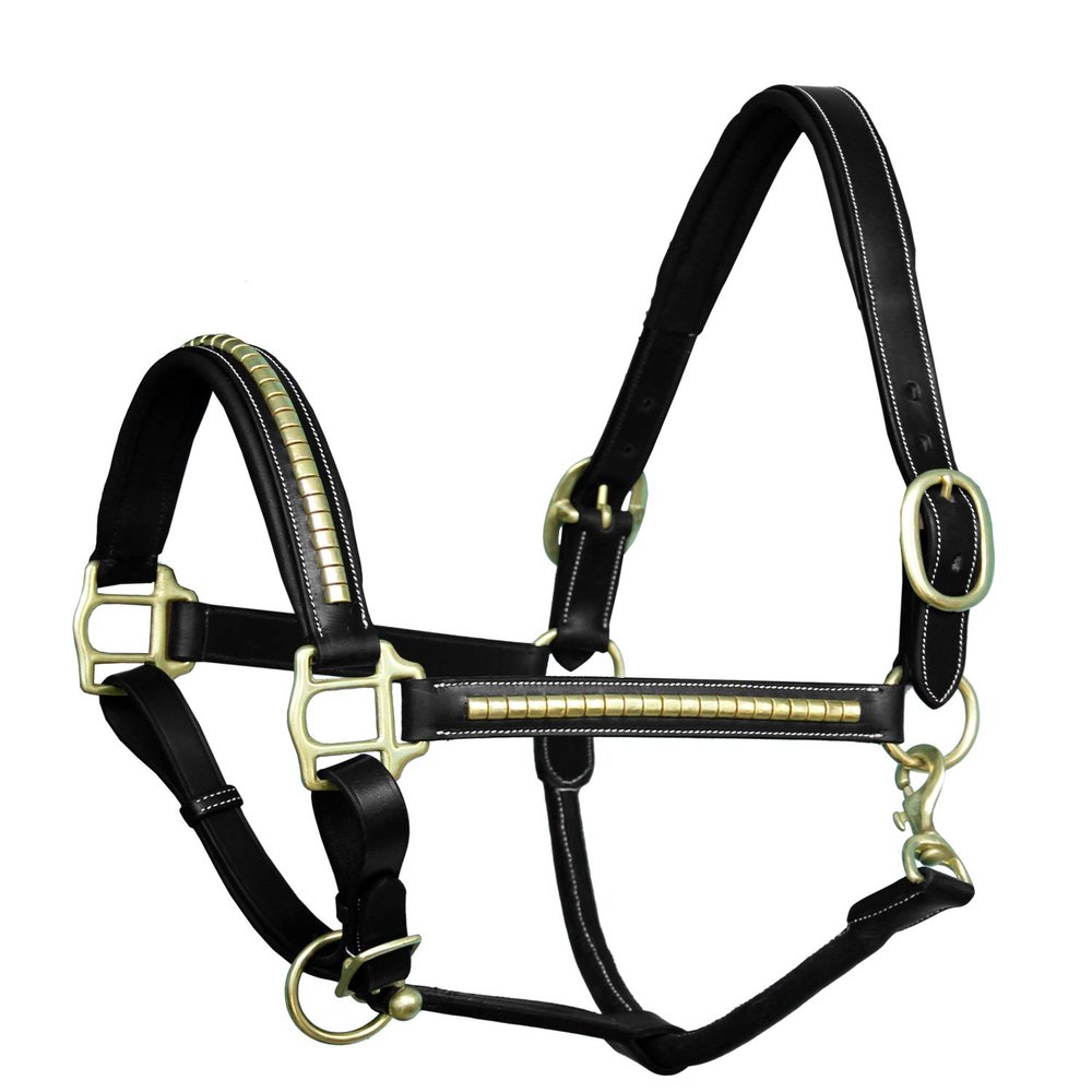 ExionPro Exion Leather Horse Halter with Padding &Brass Clincher Studs Adjustable QuickRelease Crownpiece Halter for Horses VegetableTanned Leather in Black & Brown Cob, Full & Oversize