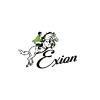 ExionPro Exion Leather Horse Halter with Padding &Brass Clincher Studs  Adjustable QuickRelease Crownpiece Halter for Horses  VegetableTanned Leather in Black & Brown  Cob, Full & Oversize view 4