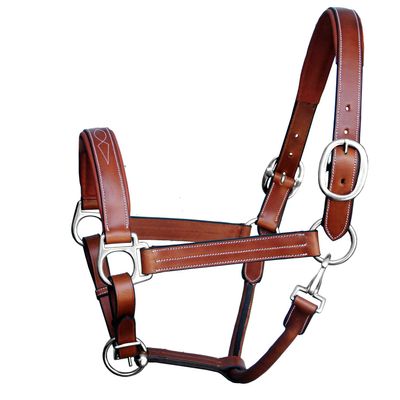 ExionPro Exion Designer Stitched Padded Cushioned Leather Halter- Silver Buckles | Adjustable Chin and Throat Snap Halter | Replaceable Crownpiece Halter | Black, Havana Brown, Oak Brown | Full, Cob