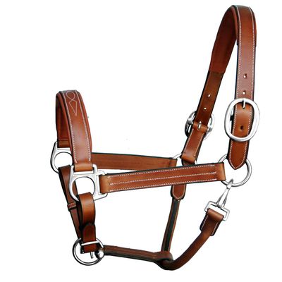 ExionPro Exion Designer Stitched Padded Cushioned Leather Halter- Silver Buckles | Adjustable Chin and Throat Snap Halter | Replaceable Crownpiece Halter | Black, Havana Brown, Oak Brown | Full, Cob