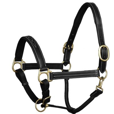 Exion Designer Stitched Padded Cushioned Leather Horse Halter-Brass Buckles | Adjustable Chin and Throat Snap Halter | Replaceable Crownpiece Halter | Black, Brown | Over, Full, Cob, Pony Size