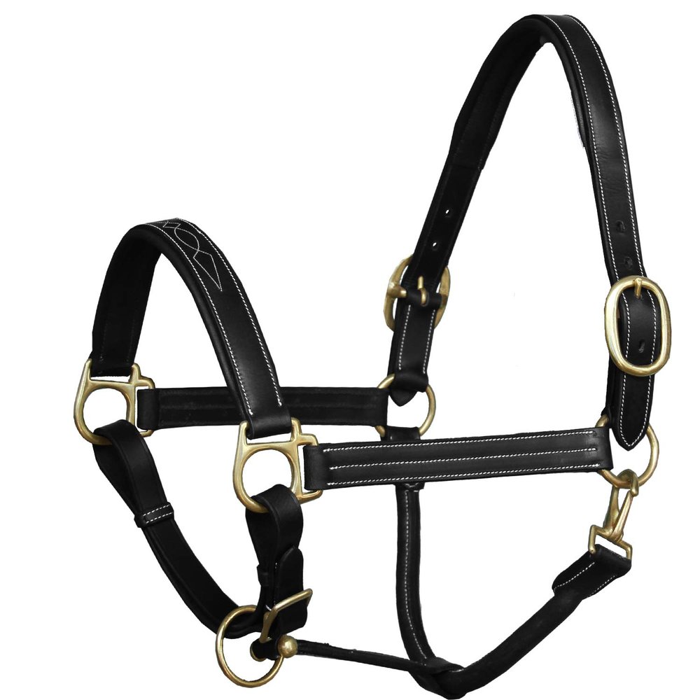 Exion Designer Stitched Padded Cushioned Leather Horse Halter-Brass Buckles | Adjustable Chin and Throat Snap Halter | Replaceable Crownpiece Halter | Black, Brown | Over, Full, Cob, Pony Size