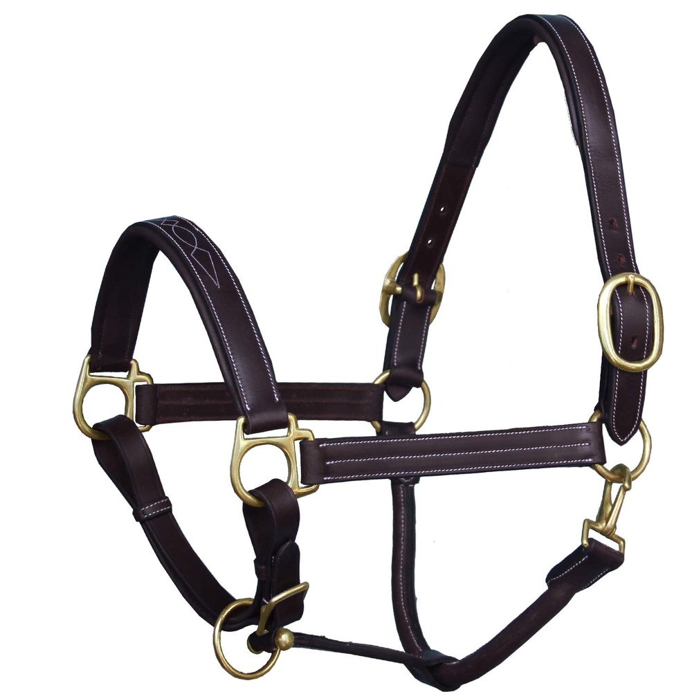 Exion Designer Stitched Padded Cushioned Leather Horse Halter-Brass Buckles | Adjustable Chin and Throat Snap Halter | Replaceable Crownpiece Halter | Black, Brown | Over, Full, Cob, Pony Size