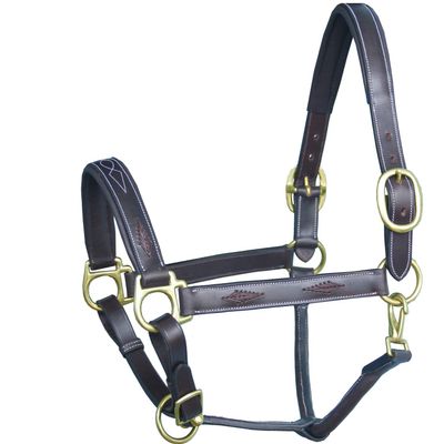ExionPro Exion Designer Braided Soft Padded Leather Horse Halter Stylish, Adjustable & Comfortable Halter with Golden Brass Buckles | Perfect for Training, Shows & Everyday Use