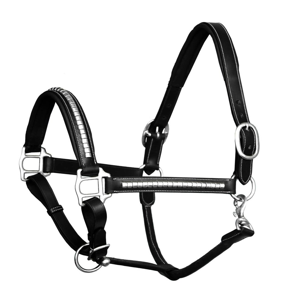 Exion Luxury Leather Horse Halter with Clincher Studs Comfort Padded Anatomical Crown & Noseband Quick-Release Snap Throat Latch Vegetable Tanned Leather in Black/Brown