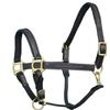 Exion Six Fancy Stitch Leather Padded Cushioned Horse Halter-Brass Hardware | Adjustable Chin and Throat Snap Halter | Replaceable Crownpiece Halter | Quick Release | Black, Havana Brown | Full view 1