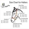 Exion Designer Stitched Padded Cushioned Horse Halter- Silver Hardware | Adjustable Chin and Throat Snap Halter | Replaceable Crownpiece Halter | Quick Release | Black, Havana Brown | Over, Full view 2