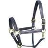 ExionPro Exion Designer Braided Soft Padded Leather Horse Halter- Stylish Adjustable Chin & Throat Snap Halter with Brass Silver Buckles for Comfort- Perfect for Training & Shows view 1
