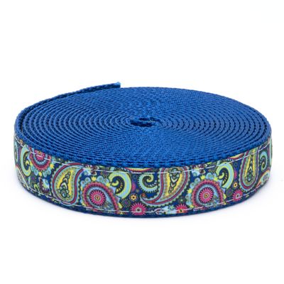 Country Brook Design - Bright Paisley Ribbon on Royal Blue Nylon Webbing (3/4 Inch, 50 Yards)