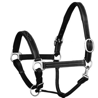 ExionPro Exion Designer Stitched Padded Cushioned Leather Halter- Silver Buckles | Adjustable Chin and Throat Snap Halter | Replaceable Crownpiece Halter | Black, Havana Brown, Oak Brown | Full, Cob