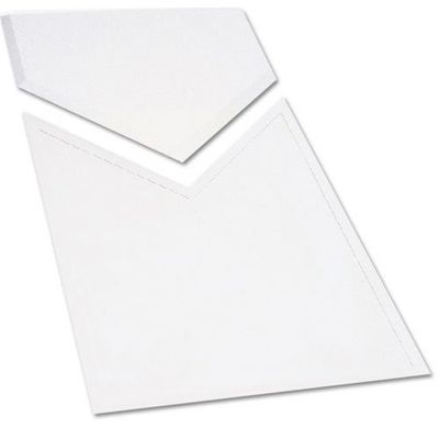 Olympian Athlete Rubber Home Plate Extension (EA)