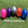 FIMISU 65cm Fitness Stability Ball  Yoga Balance Ball  Exercise Training Ball (Blue) view 2