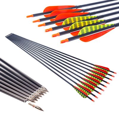 Pinals Archery 340 400 500 Spine Carbon Arrows for Compound Recurve Bows Hunting Target Traditional Longbow 31 inch Arrow Shaft 12PCS(500 31")