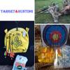 Pinals Archery 340 400 500 Spine Carbon Arrows for Compound Recurve Bows Hunting Target Traditional Longbow 31 inch Arrow Shaft 12PCS(500 31") view 3