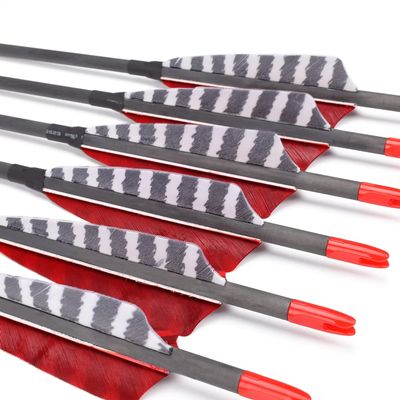 Hunter Ian Archery Pure Carbon Arrows 600 Spine 30 Inch Turkey Feather Fletching Screw in Field Points Targeting Hunting for Traditional Long Bow Recurve Bow Compound Bow Pack of 6