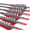 Hunter Ian Archery Pure Carbon Arrows 600 Spine 30 Inch Turkey Feather Fletching Screw in Field Points Targeting Hunting for Traditional Long Bow Recurve Bow Compound Bow Pack of 6 view 1