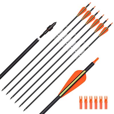 Hunter Ian Archery Carbon Arrow Hunting Arrows 30 Inch with 100 Grian Removable Tips for Compound Bow & Recurve Bow Practice Shooting (Pack of 6)