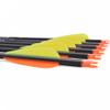 Hunter Ian Archery Carbon Arrow Hunting Arrows 30 Inch with 100 Grian Removable Tips for Compound Bow & Recurve Bow Practice Shooting (Pack of 6) view 2