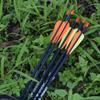 Hunter Ian Archery Carbon Arrow Hunting Arrows 30 Inch with 100 Grian Removable Tips for Compound Bow & Recurve Bow Practice Shooting (Pack of 6) view 4