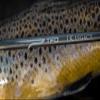 6 wt. 9'6" 4 pc. Legacy Rod view 3