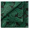 KissTies Mens Green Black Paisley Pocket Square Christmas Hanky Handkerchief view 1