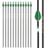 Zhao.Fu 29 Inch Carbon Arrow Practice Hunting Arrows Spine 400 with Removable Tips for Archery Compound & Recurve & Traditional Bow (12 Pcs) view 1