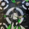 Zhao.Fu 29 Inch Carbon Arrow Practice Hunting Arrows Spine 400 with Removable Tips for Archery Compound & Recurve & Traditional Bow (12 Pcs) view 4
