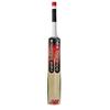 NB TC 360+ Premium Kashmir Willow Cricket Bat New Balance Bat TC 360 + Kashmir Willow Bat Full Size Men Adult SH World Wide view 2