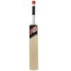 NB TC 360+ Premium Kashmir Willow Cricket Bat New Balance Bat TC 360 + Kashmir Willow Bat Full Size Men Adult SH World Wide view 3