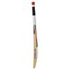 NB TC 360+ Premium Kashmir Willow Cricket Bat New Balance Bat TC 360 + Kashmir Willow Bat Full Size Men Adult SH World Wide view 4