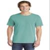 Comfort Colors Men's Adult Short Sleeve Tee, Style 1717 (Large, Sea Green) view 1