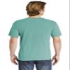 Comfort Colors Men's Adult Short Sleeve Tee, Style 1717 (Large, Sea Green) view 2