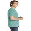 Comfort Colors Men's Adult Short Sleeve Tee, Style 1717 (Large, Sea Green) view 3