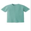 Comfort Colors Men's Adult Short Sleeve Tee, Style 1717 (Large, Sea Green) view 4