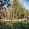 Big & J to-Die-for | Long Range Nutritional Supplement/Attractant, Granulated 20 lbs view 4