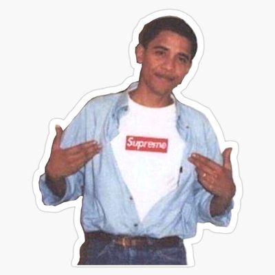 Obama Vinyl Waterproof Sticker Decal Car Laptop Wall Window Bumper Sticker 5"